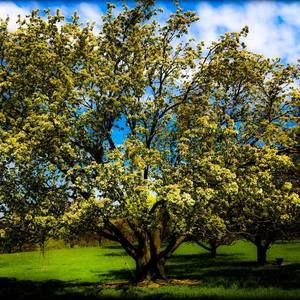 Meet your Posher, Carlos